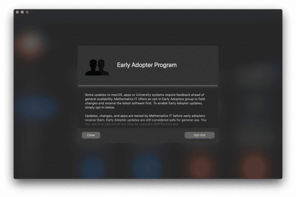 Early Adopter Group Mathematics IT